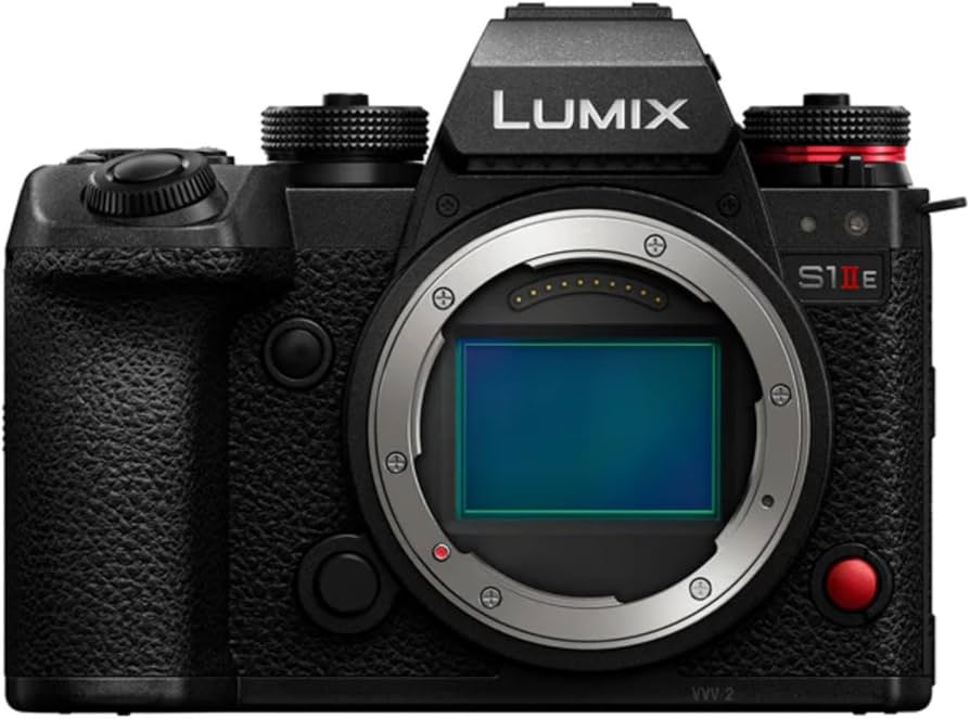 LUMIX S1 バッテリー2本つき シャッター数2320 LUMIX S1 バッテリー2本つき シャッター数2320 LUMIX S1のショット数